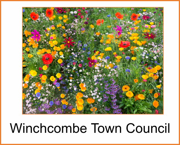 How Are Town and Parish Councils Interpreting the Biodiversity Duty?